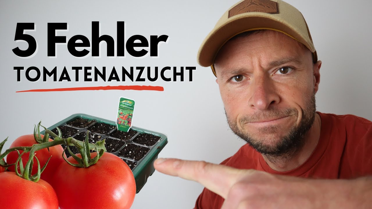 Tomaten aussäen und vorziehen: 5 fatale FEHLER.