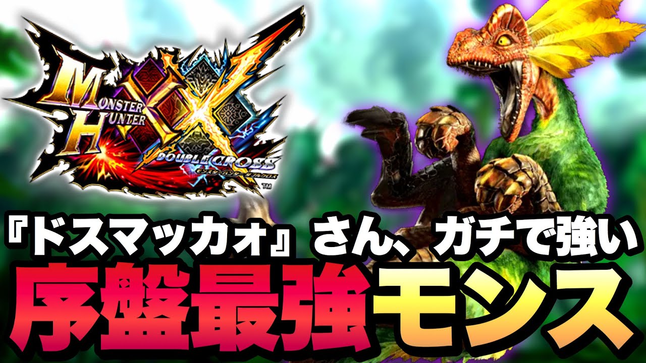 初心者キラー】序盤最強モンス『ドスマッカォ』がマジで強くて驚愕する