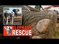 The Great Elephant Rescue  - Teaser trailer