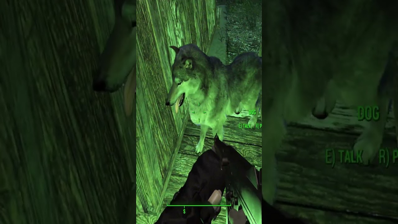Dogmeat Really Pieced Out #gaming