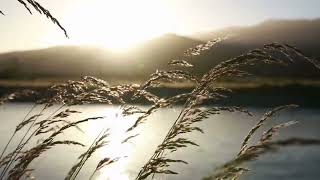 River Running And Wind Blowing Relaxing Sound