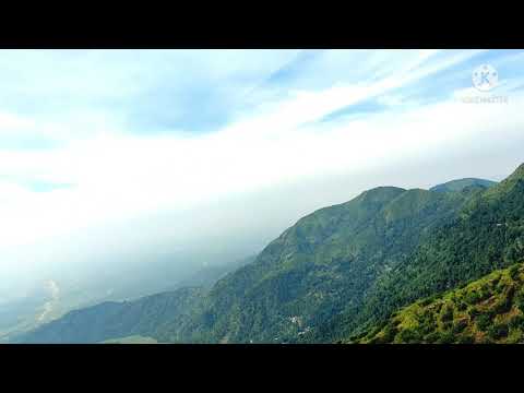 Sandakphu Journey Shorts