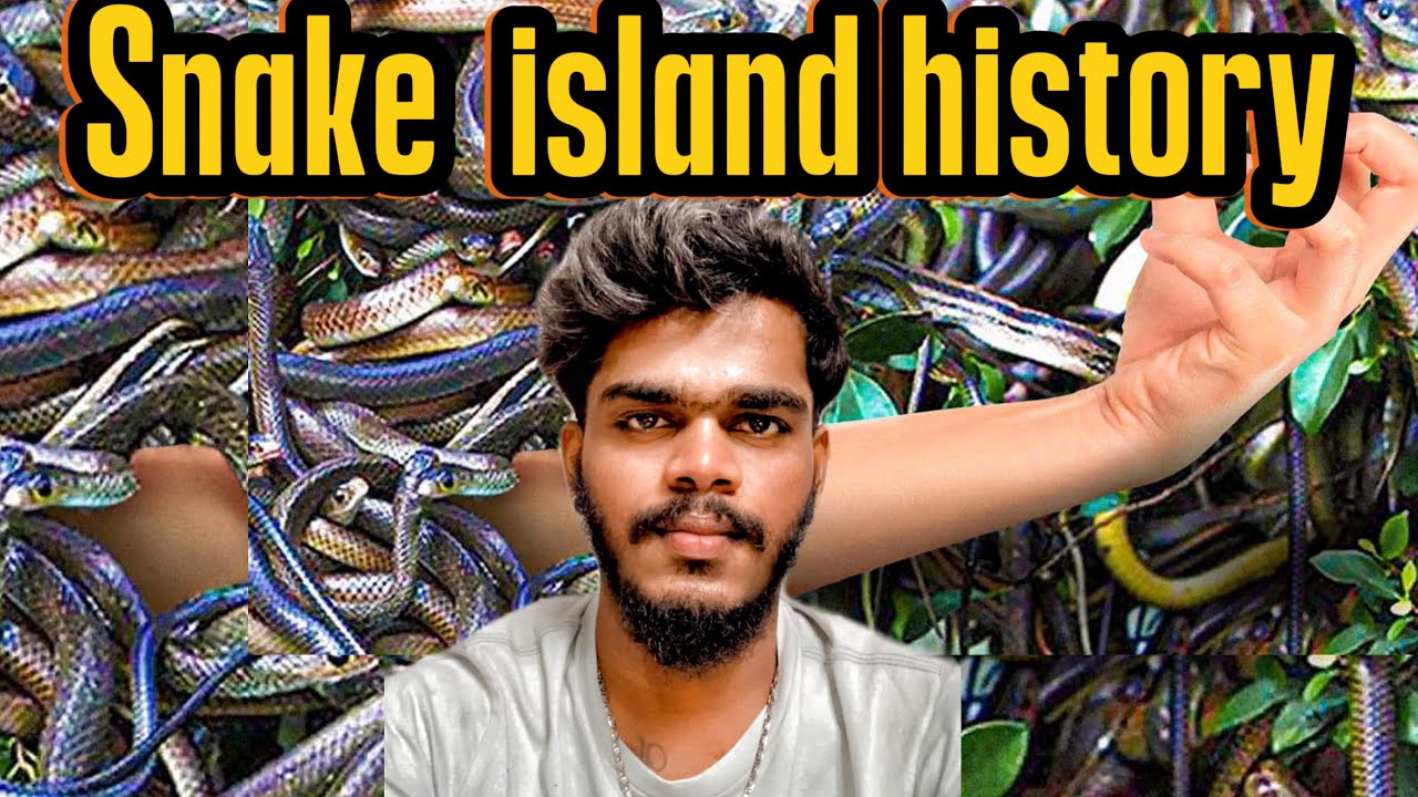 Snake 🐍 island history | Tamil | பாம்பு தீவு வரலாரு. 4000 பாம்புகளா???