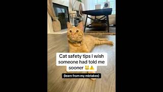Cat safety tips I wish someone had told me sooner #cat #catmom #catsafety #catshealth #pets