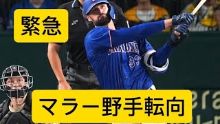緊急中日から報告マラー投手が野手転向