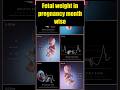 Fetal weight in pregnancy month wise:  गर्भावस्था में महीने-दर-महीने भ्रूण वजन#medical #pregnancy