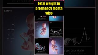 Fetal weight in pregnancy month wise: गर्भावस्था में महीने-दर-महीने भ्रूण वजन#medical #pregnancy