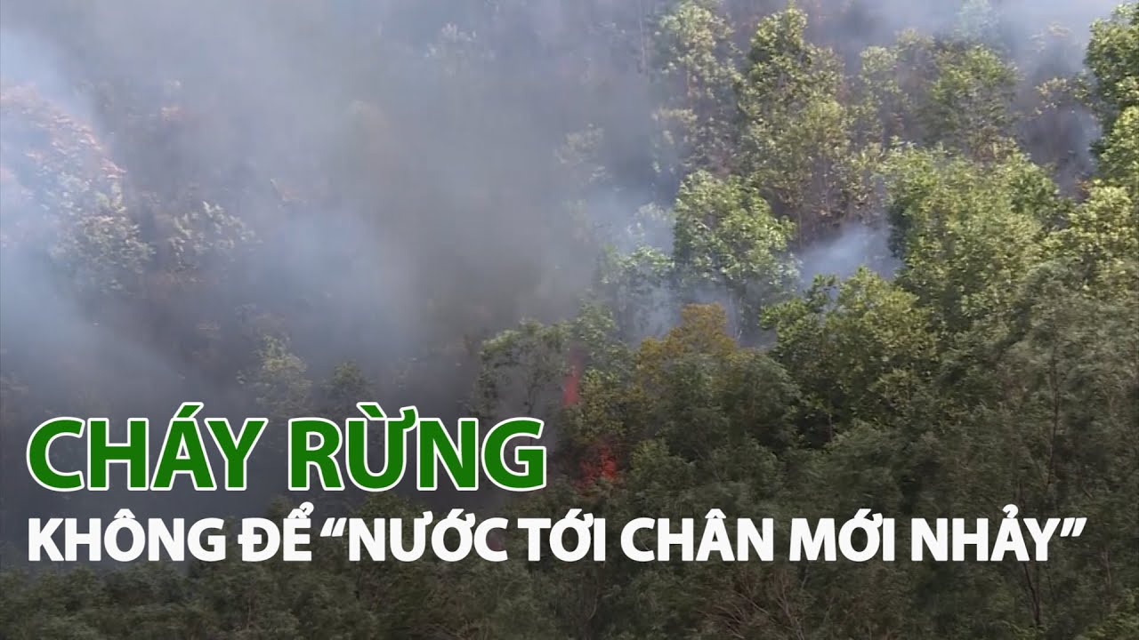 Cháy rừng không để 