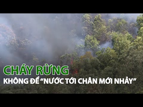 Video Cháy rừng không để 