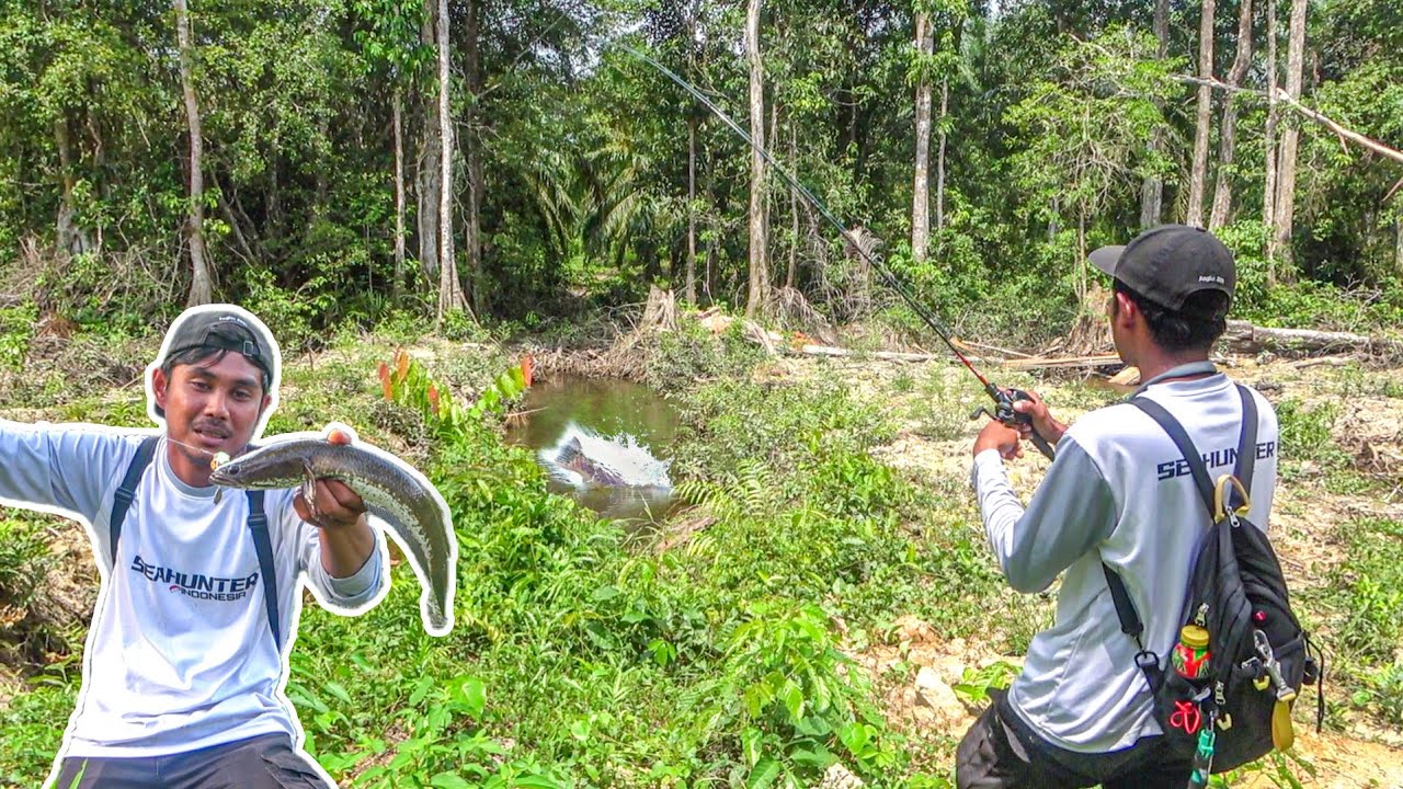 Coba Umpan Baru & Dapat Banyak Ikan Dirawa Yang Baru Dirusak !!!