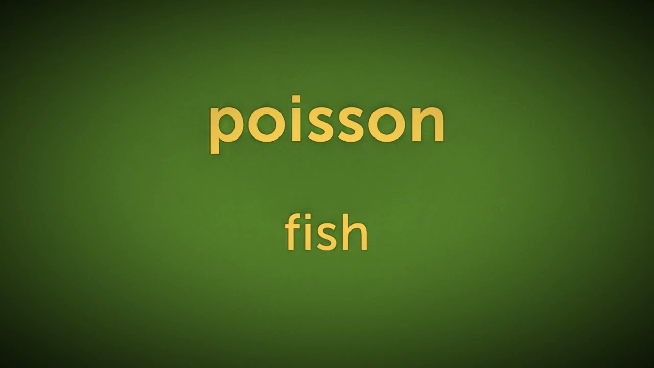 Top 1000 Daily French Vocabulary Words | Part 6 (With English)