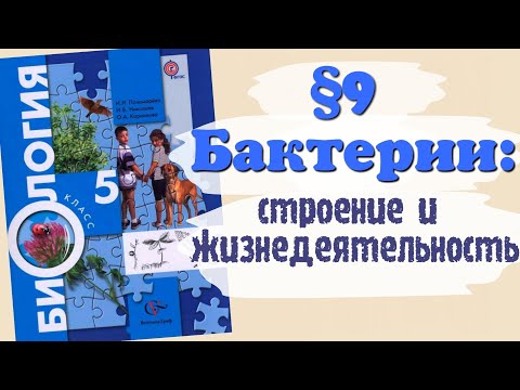 Краткий пересказ §9 Бактерии: строение и жизнедеятельность. Биология 5 класс Пономарева