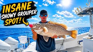Deep Drop Madness! Snowy Grouper, 3 Swordfish & Mahi