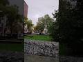 #eindhoven#autumn 🍂🍂#visiteindhoven#viralvideo #shortsvideo #shorts #plasesubscribe