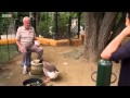 Animal tube | animal odd couples Full documentary 2013 | Video tube