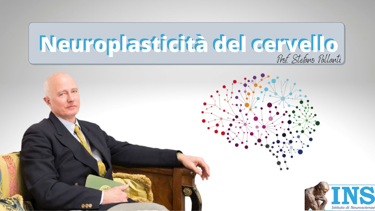 Neuroplasticità del cervello Prof. Stefano Pallanti