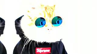 |KUCING|JEDAG JEDUG ALIGHT MOTION 30 DETIK