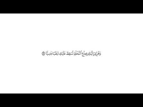 تفسير قوله تعالى وهزي إليك بجذع النخلة تساقط عليك رطبا جنيا مريم 25
