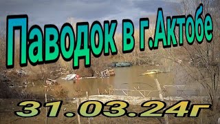 Обзор последствий паводка в г Актобе за 31 03 24г Спасение из плена карася