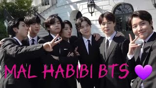 Mal Habibi Bts Edit