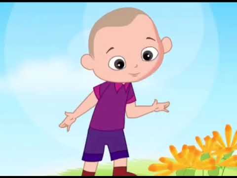 Tạo hình: Dạy trẻ vẽ hoa cánh tròn