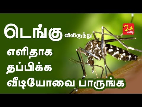 Video: Epidemiológia Horúčky Dengue V Krajine S Vysokými Príjmami: Prípadová štúdia V Queenslande V Austrálii