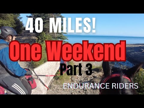 Journey to 100 Miles | Go Pro | Last major training session before our 50 mile competition!