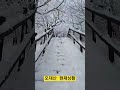 #shorts &quot;오대산&quot; 1월17일 겨울 왕국 ~~!!!실시간 상황 ^^