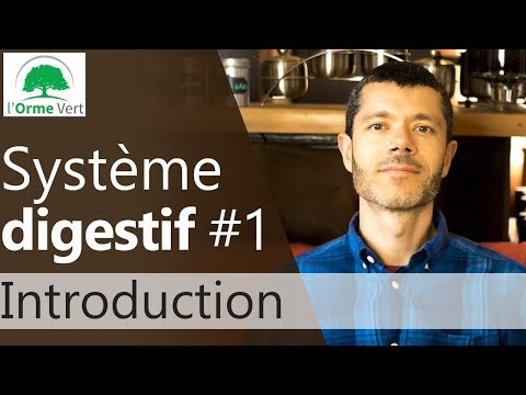 Système digestif #1 - Introduction [2019]