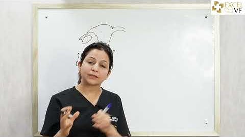 Pregnant होने के लिए Sex के बाद कितनी देर तक लेटे रहना चाहिए? Dr Rhythm Gupta - IVF Specialist Delhi