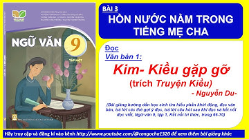 BÀI 3 KIM KIỀU GẶP GỠ (trích Truyện Kiều), Nguyễn Du- Ngữ văn 9, tập 1- Kết nối tri thức trang 66-70