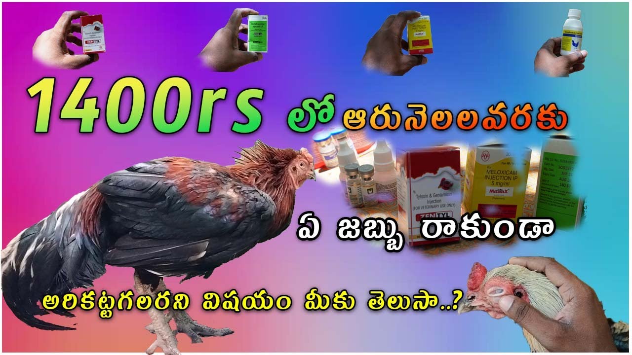 1400rs ఆరునెలల వరకు ఏ జబ్బురాకుండా అరికట్టగలరని విషయం తెలుసా..? || 1400rs you can control diseases