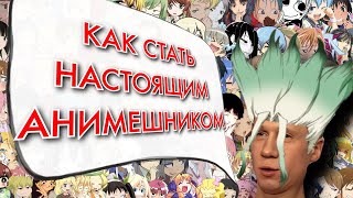 Как стать НАСТОЯЩИМ АНИМЕШНИКОМ (ГАЙД)