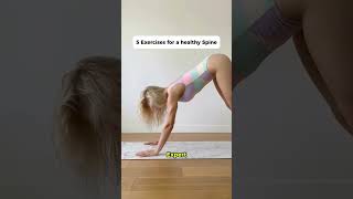 5 exercises for a healthy spine Perfect for any beginners everyday 💕 #spinemobility #yoga #foryoup