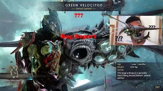 Bug report, catching bugs in the simulacrum