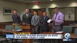 Grosse Ile teens charged with killing guinea pig before lacrosse game screenshot 4