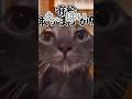 二郎系みたいに聞いてくる会社(音源お借りしました)