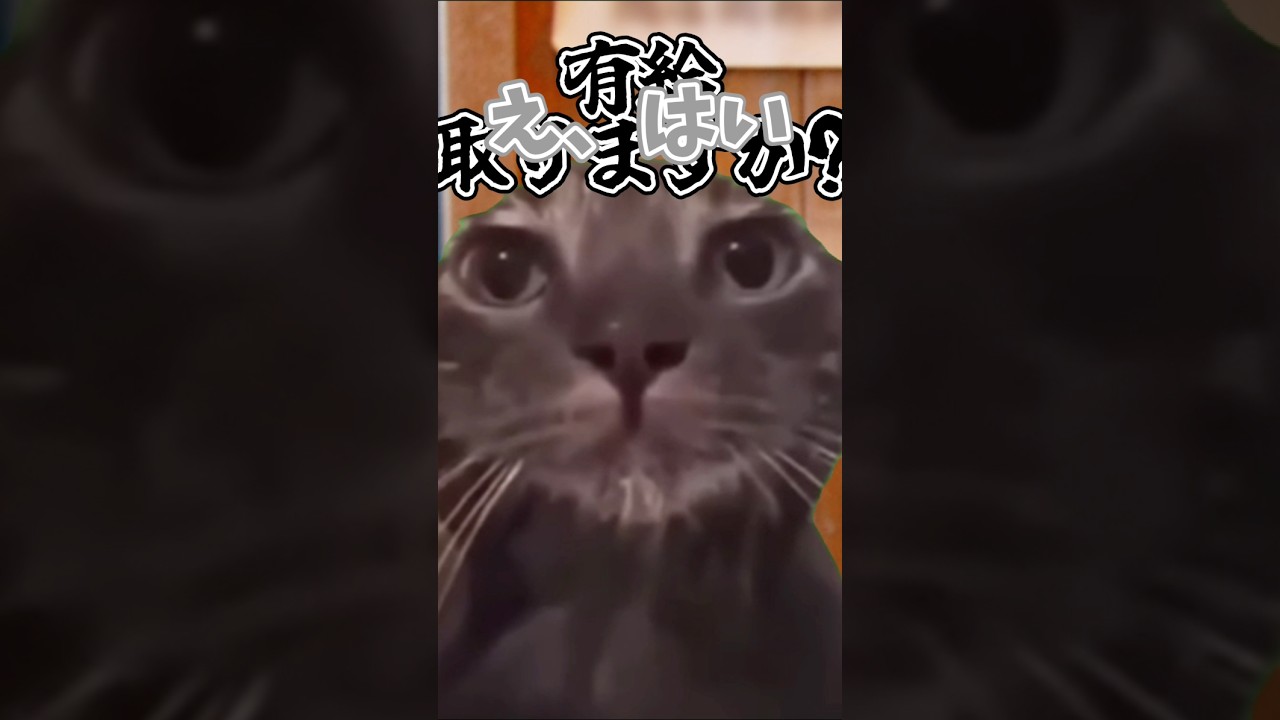 二郎系みたいに聞いてくる会社(音源お借りしました)