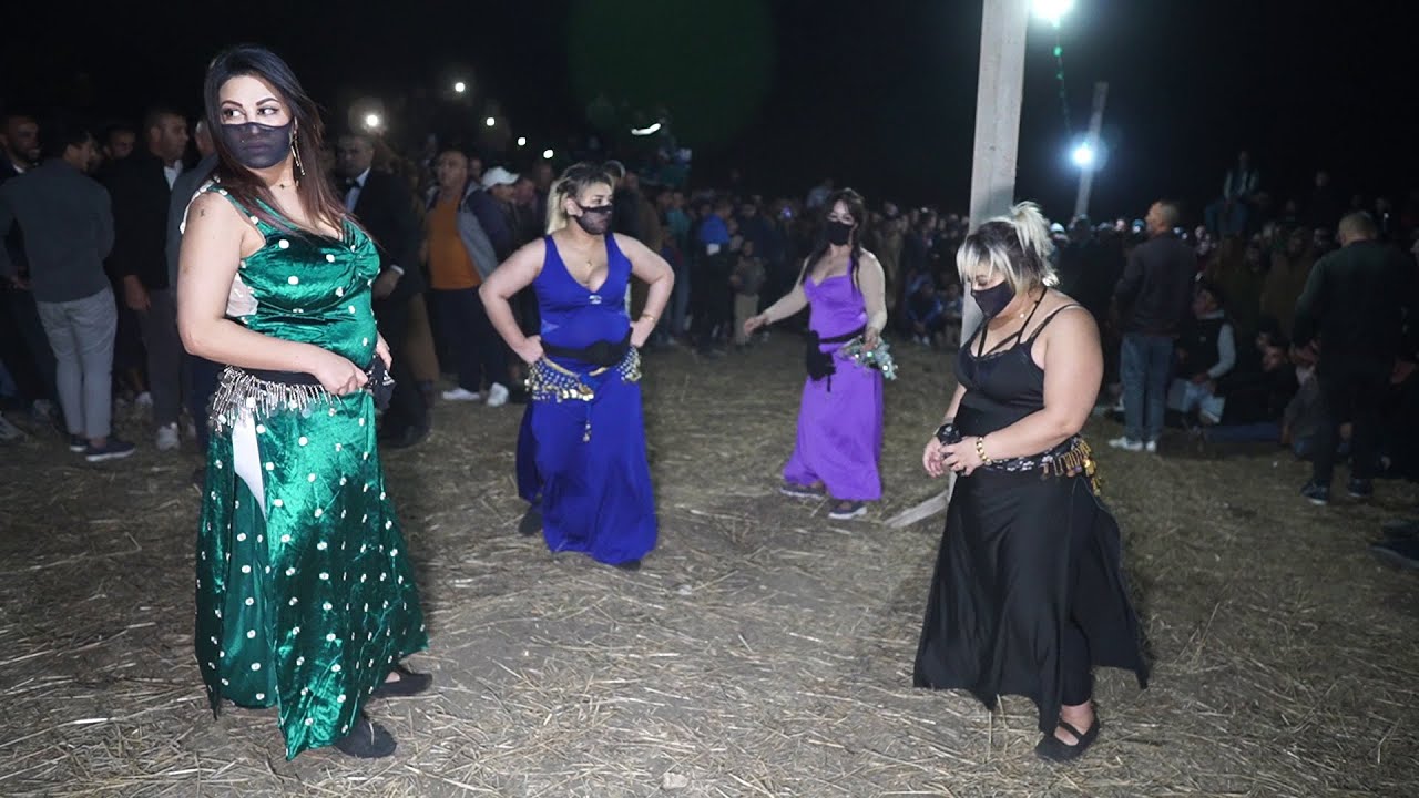 الدبابات الروسية شيكولة والقطة