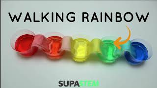 Walking Rainbow Science Experiment | How to Make a Walking Water Rainbow