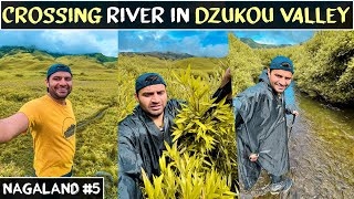 ADVENTURE in DZUKOU VALLEY of NAGALAND , North East India