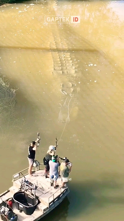 KETIKA 4 PRIA MENCOBA MENAKLUKKAN BUAYA RAKSASA DI DANAU #animals #wildlife #foryou #scary