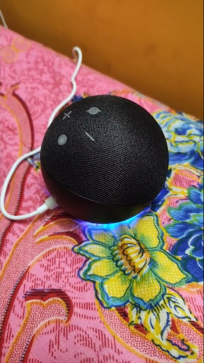 Alexa kya tum pagal ho 😂😂