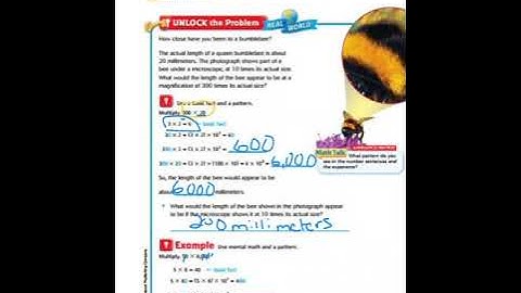 Lesson 1.5 Multiplication Patterns