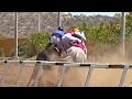 Buen reflejo del Jockey  | Carreras de Caballos