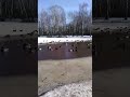 Симпотишная банда #shortvideo  #рек #весна  #парк  #птицы  #нижнийновгород