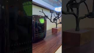 Can This Tiny Machine Freshen 2000 Sq Ft? Information