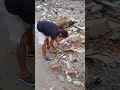 Fan Vaqueiro ta organizando o BLOCO