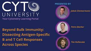 Beyond Bulk Immunity: Dissecting Antigen-Specific B and T Cell Responses Across Species