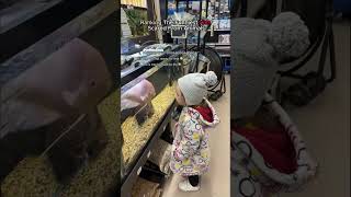 Ranking The Funniest Kids Scared From Animals